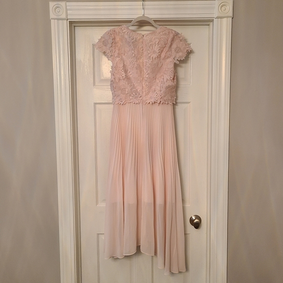 Coast Darianna Pink Lace Pleated Dress - Picture 3 of 4